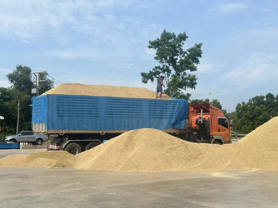 'ธรรมนัส' ตั้ง 'ณัฏฐกิตติ์' คุมทีมตรวจสต็อกข้าวหลุดจำนำยุ้งฉาง 6.5 หมื่นตัน