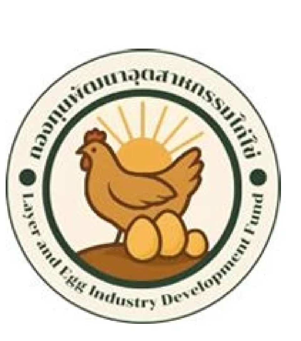 เช็กด่วน! กองทุนไก่ไข่ เปิดชดเชยปลดแม่ไก่ยืนกรง ตัวละ 10 บาท