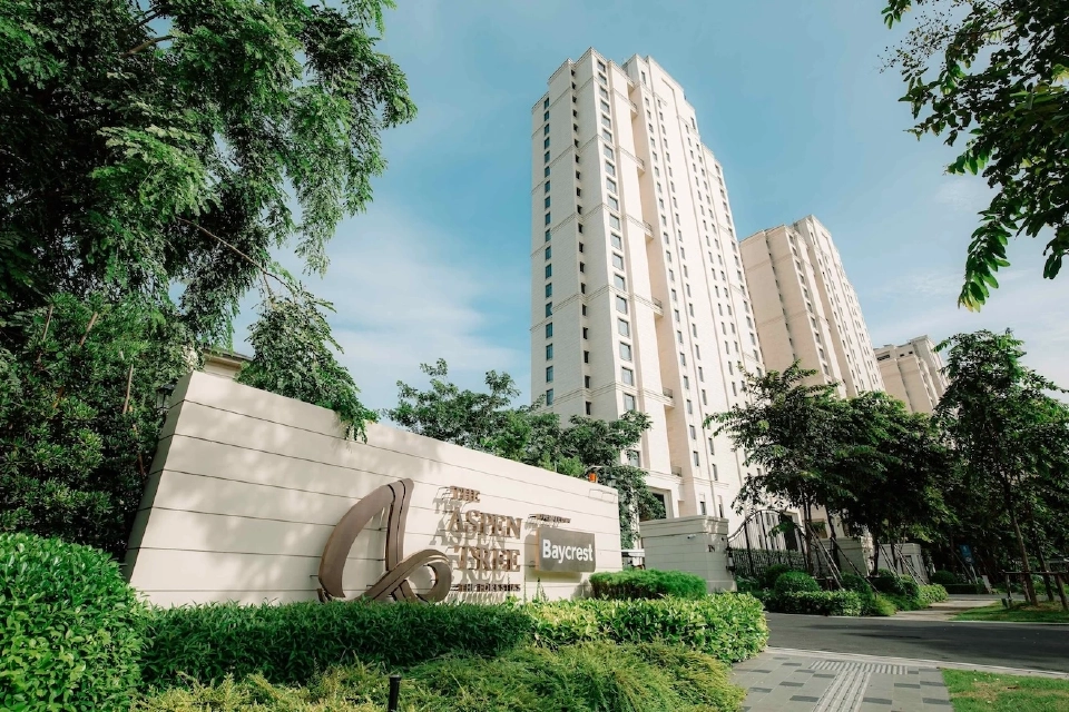 The Aspen Tree The Forestias