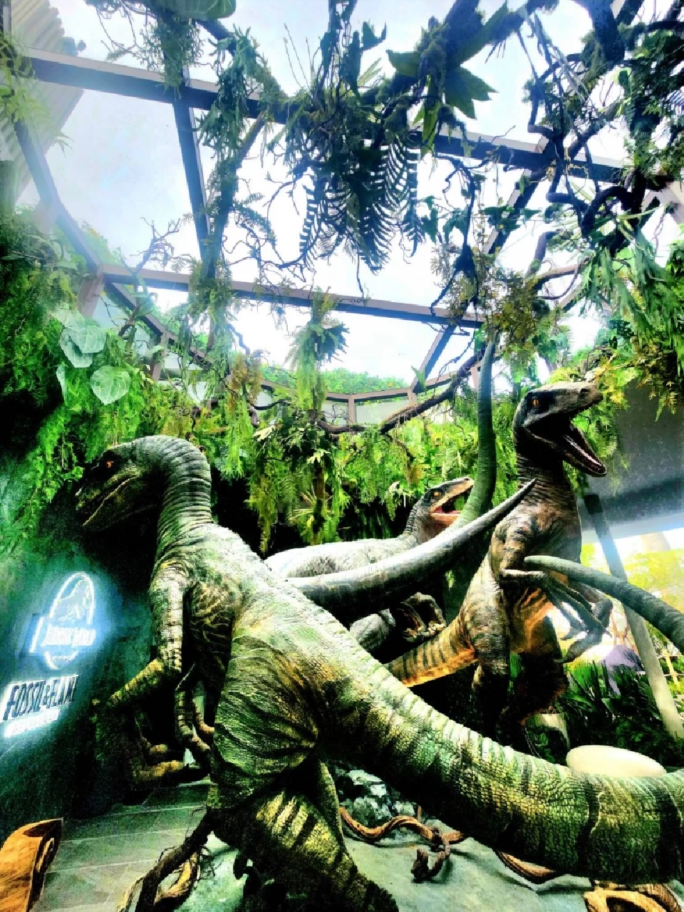 Fossil &amp; Flame Restaurant 