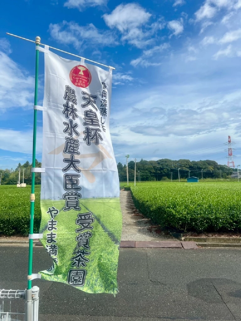 โลกร้อนกระทบไร่ชาญี่ปุ่น ผลผลิตวูบ ‘มัตสึดะ’ลั่นพร้อมเสิร์ฟมัทฉะพรีเมียมร้านอินทนิล