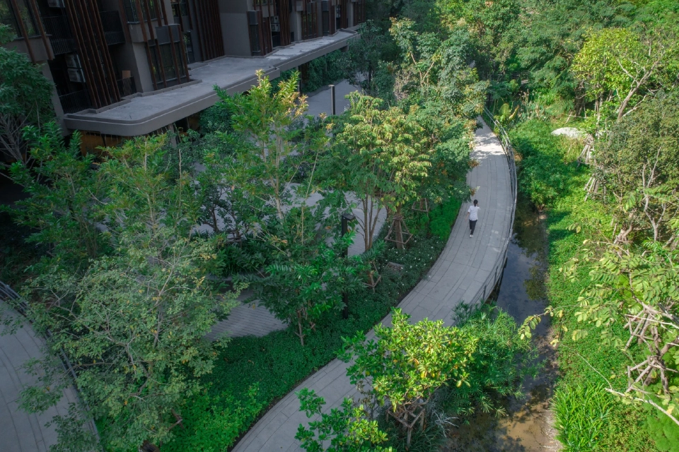 พื้นที่สีเขียวภายในโครงการ