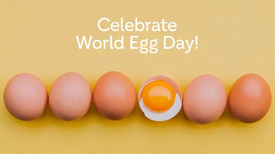 'วันไข่โลก' หมอแนะคนไทยกินไข่อย่างน้อยวันละฟอง ชี้โปรตีนคุณภาพสูงเหมาะทุกวัย