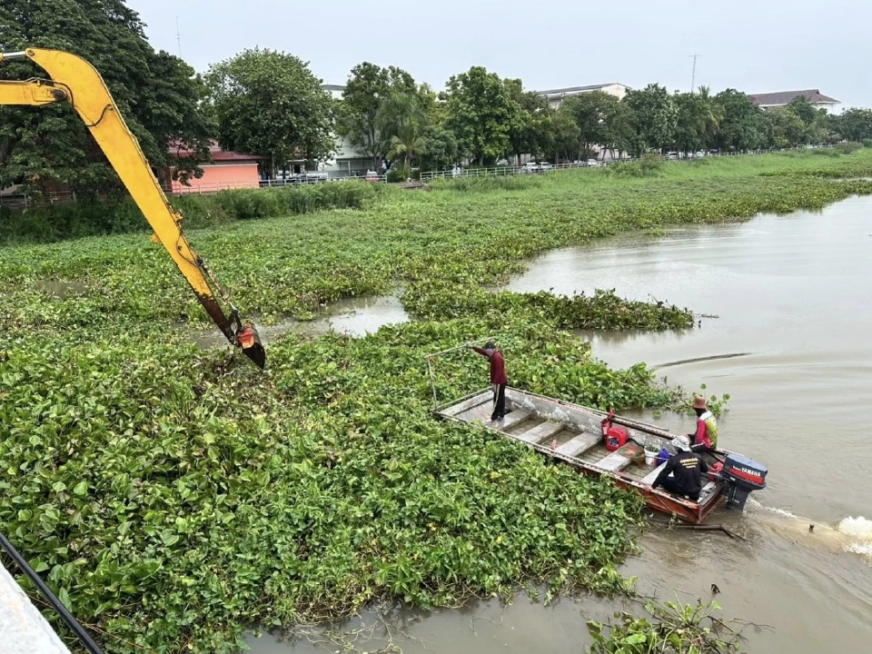 กรมชลฯ ขานรับ นโยบายรองนายกฯ “ธรรมนัส” เร่งกำจัดผักตบลำน้ำสาขาทั่วประเทศ