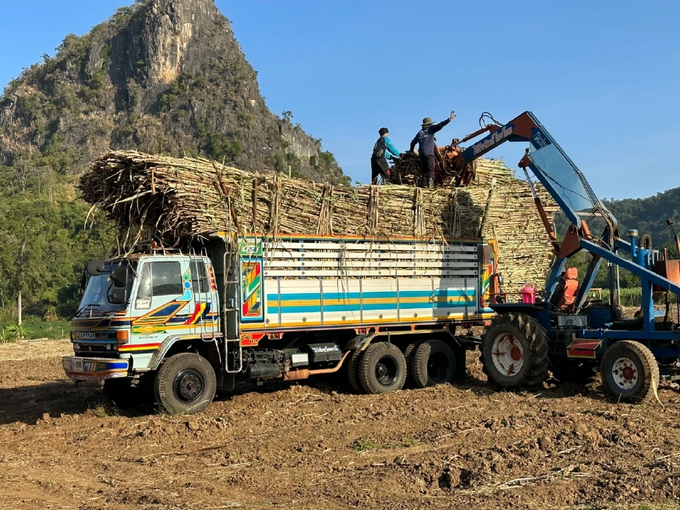 ลดการเผาในพื้นที่เกษตร กำหนดอ้อยเผาไม่เกิน 15%
