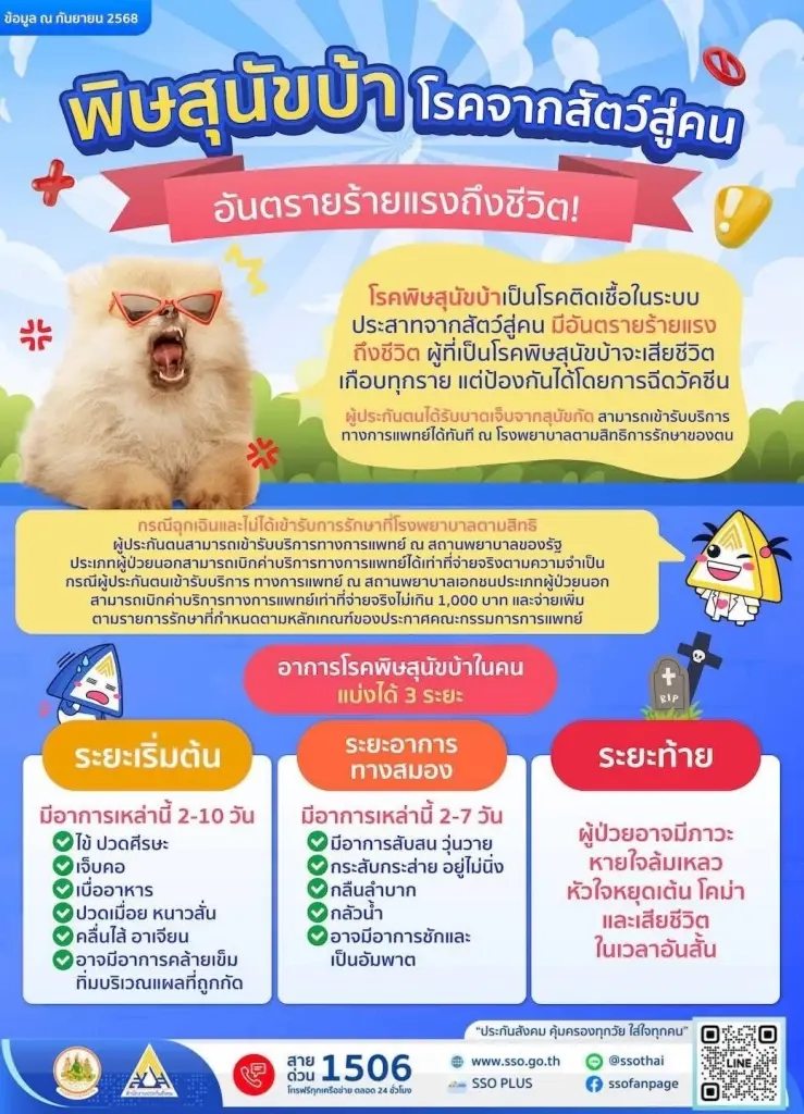 ผู้ประกันตน เช็กเงื่อนไข ฉีดวัคซีนป้องกันโรคพิษสุนัขบ้าฟรี