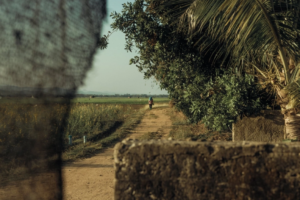 เนชั่นแนล จีโอกราฟฟิก-เป๊ปซี่โค ผนึกกำลัง ขับเคลื่อนเกษตรกรรมเชิงฟื้นฟู เป้าทั่วโลก 10 ล้านเอเคอร์