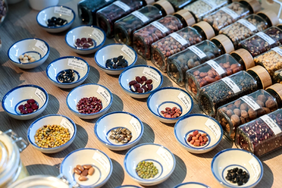 โอกาสทองโปรตีนทางเลือก ตลาดแพลนต์เบสจ่อโต 43% ยุโรปเปิดช่อง ไทยเร่งชิงแชร์