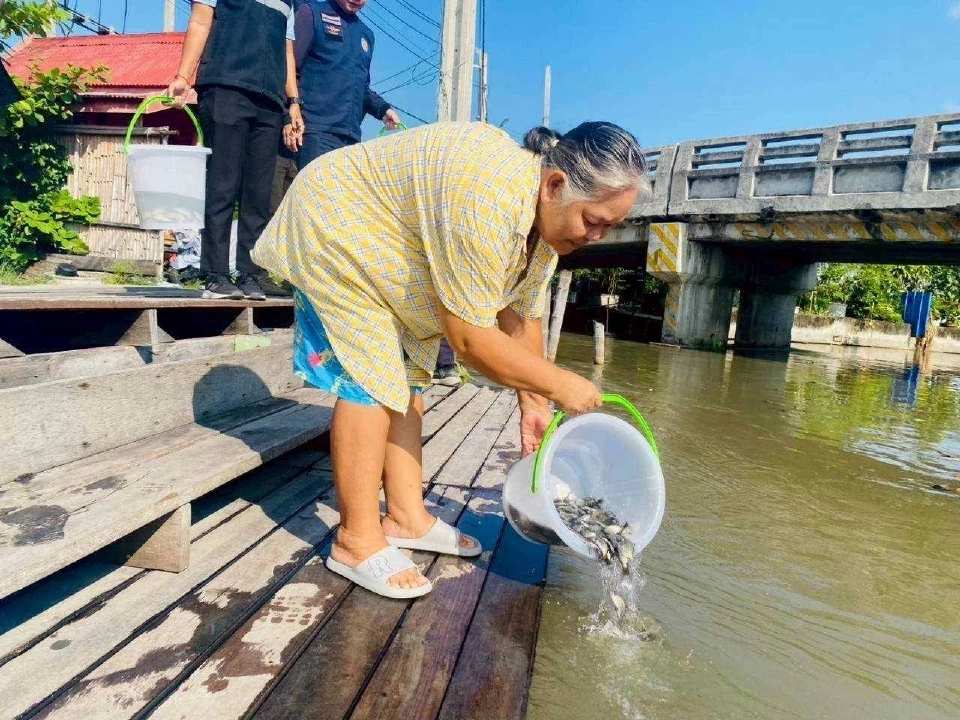 กรมประมงเดินหน้าปล่อย “ปลานักล่า” คุมเข้ม “ปลาหมอคางดำ”