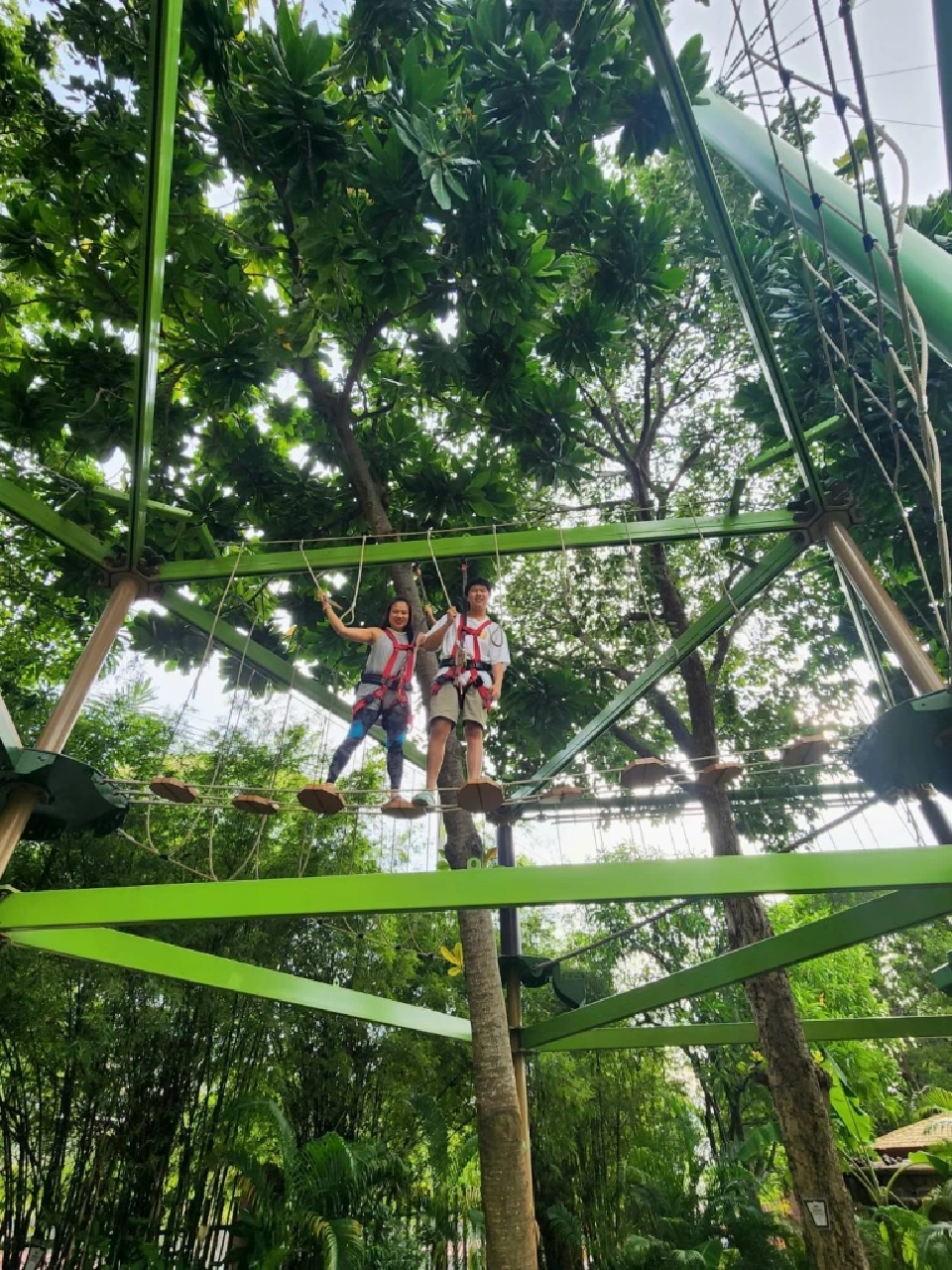 ผจญภัย เดอะ ลอสต์ เวิลด์ โฉมใหม่  'เซ็นทารา แกรนด์ มิราจ พัทยา' สายครอบครัวมีเฮ