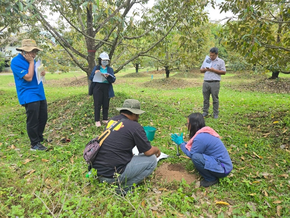 กรมวิชาการเกษตร จับมือ กรมการข้าว–อบก. รุกเข้าสู่ นาข้าวลดคาร์บอน