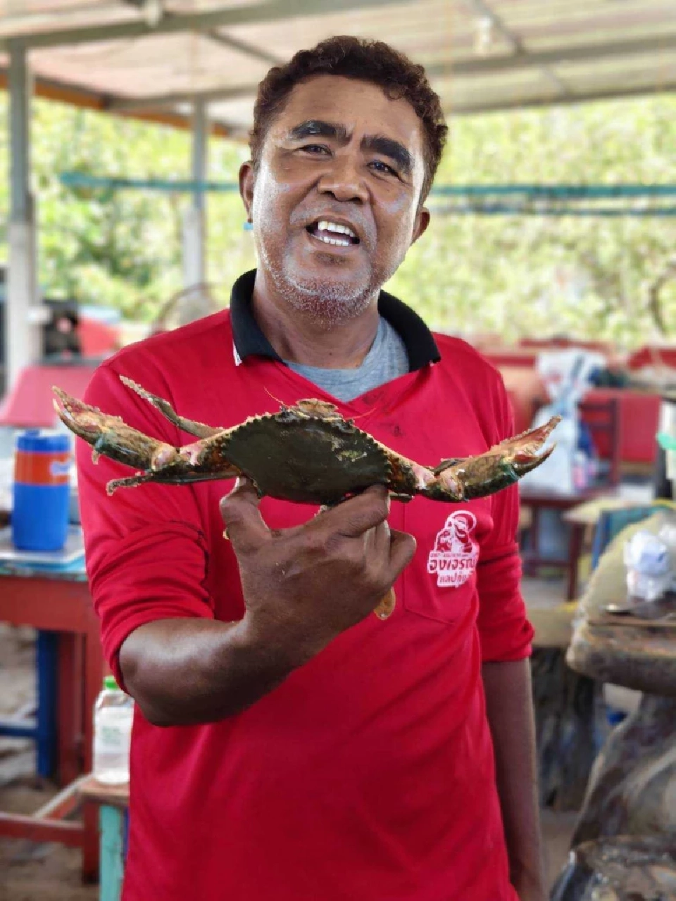 เกษตรกรปากพนังพลิกวิกฤต"ปลาหมอคางดำ"แปรเป็นอาหารปูขาว