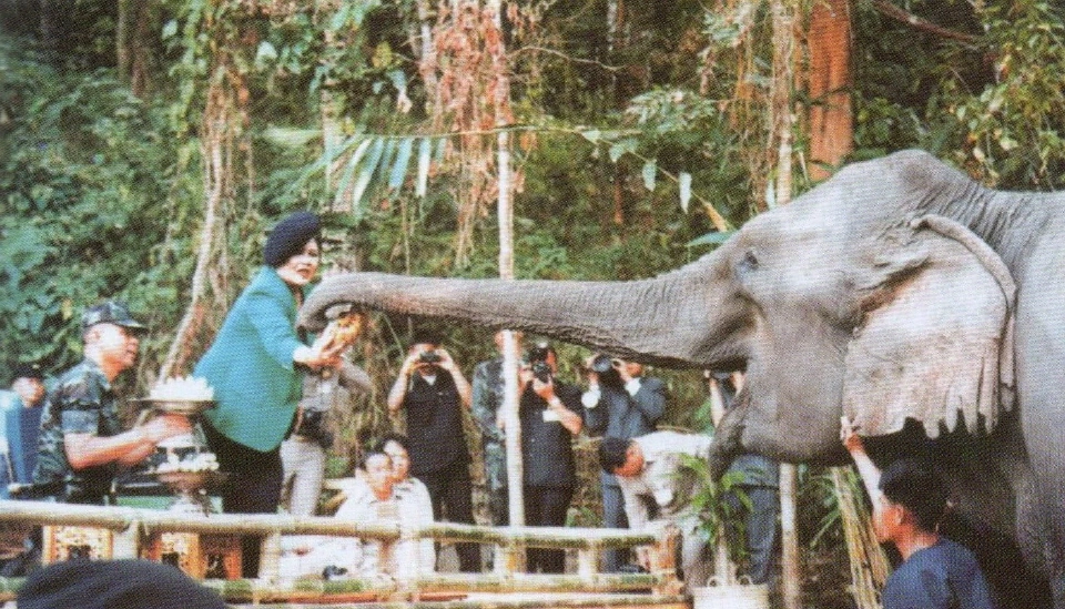 มูลนิธิคืนช้างสู่ธรรมชาติ พระราชกรณียกิจแห่งความเมตตา พระพันปีหลวง 