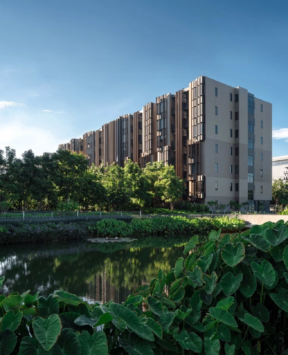 จิณณ์ เวลบีอิ้ง เคาน์ตี้