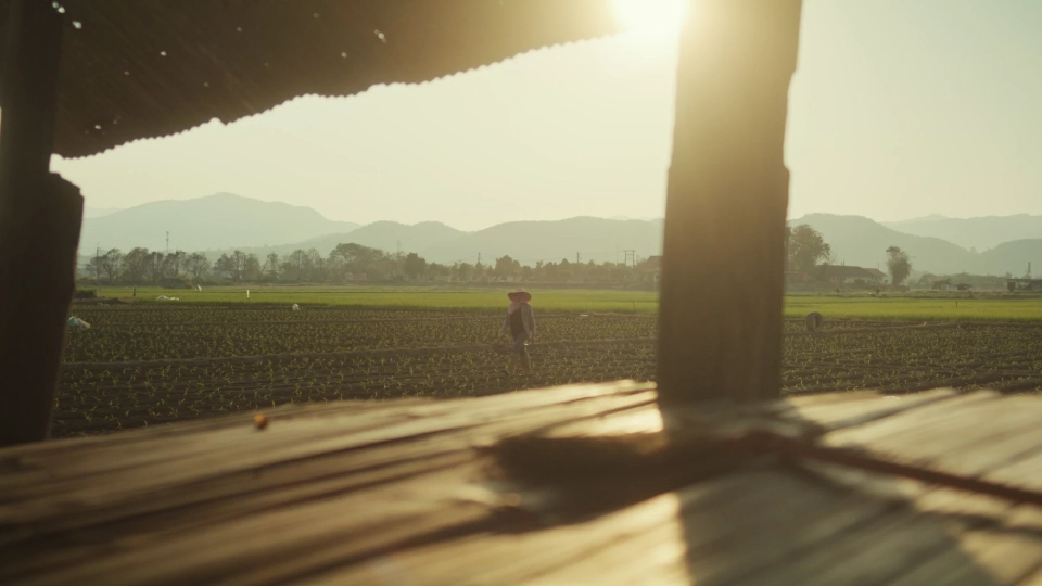 เนชั่นแนล จีโอกราฟฟิก-เป๊ปซี่โค ผนึกกำลัง ขับเคลื่อนเกษตรกรรมเชิงฟื้นฟู เป้าทั่วโลก 10 ล้านเอเคอร์