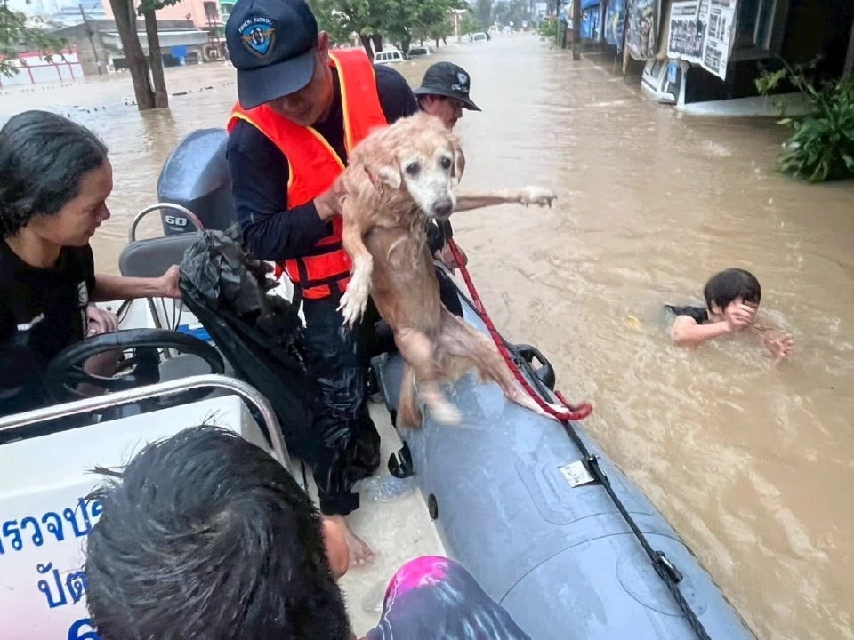 “อธิบดีกรมประมง” จัดชุดเฉพาะกิจลงพื้นที่จังหวัดสงขลา ช่วยประชาชนน้ำท่วม