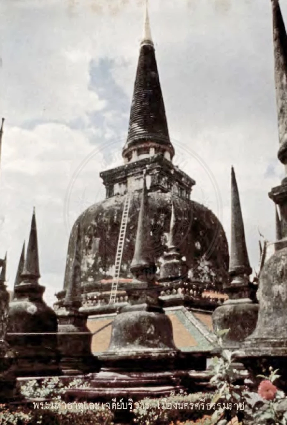 เทวดามาช่วย