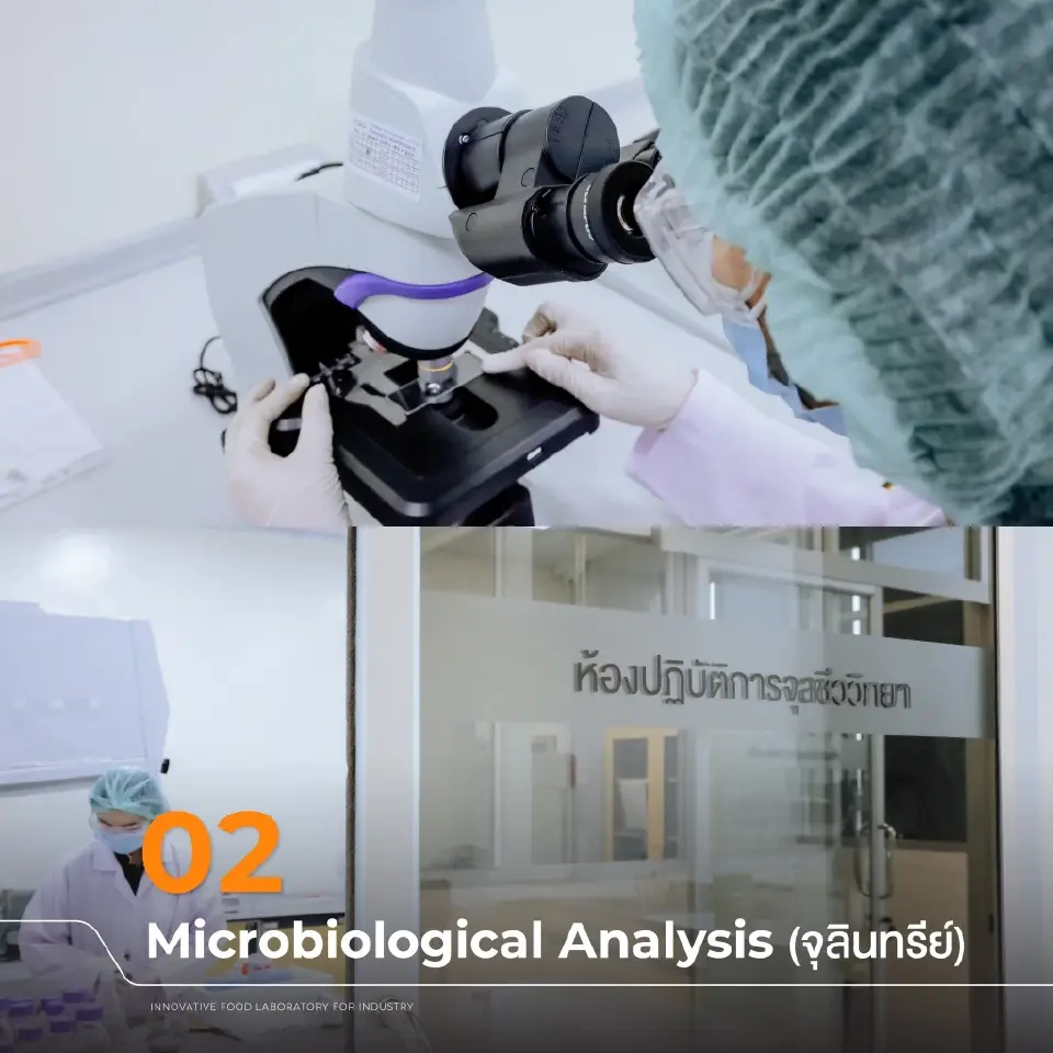 INFLI ม.เชียงใหม่ คว้ามาตรฐาน ISO ยืนยันคุณภาพแล็บระดับโลก