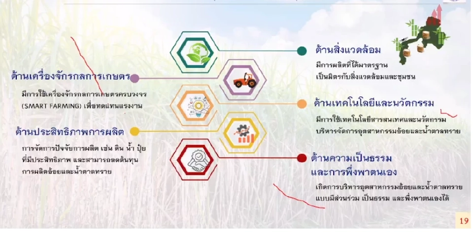 ชาวไร่อ้อยผิดหวัง สอน.ยันมติราคาอ้อย ขั้นต้น 890 บาท ทั่วประเทศ เปิดหีบ 1 ธ.ค. นี้