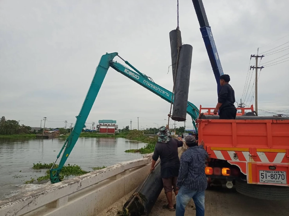 กำจัดผักตบชวา