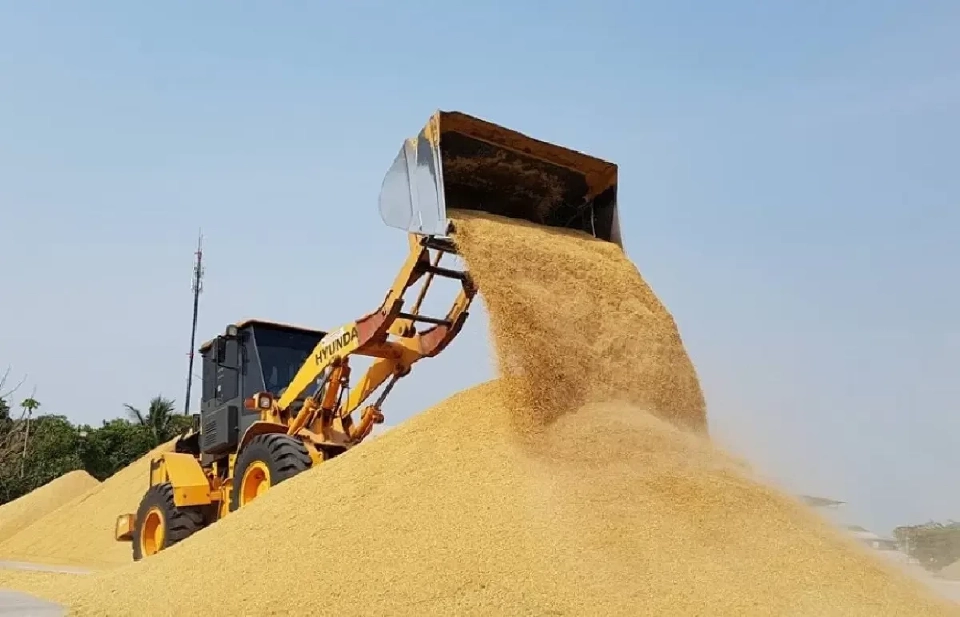 เปิดเบื้องหลัง นบข. ไฟเขียวปรับราคาข้าวใหม่ใน 'โครงการสินเชื่อชะลอการขายข้าว'