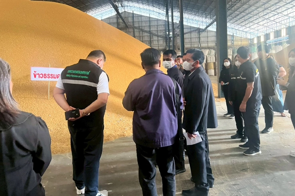 เปิดฉากวันแรก! ตรวจสต็อกข้าวหลุดจำนำยุ้งฉาง ‘ณัฏฐกิตติ์’ นำทีมลงกาญจน์–อุทัยฯ