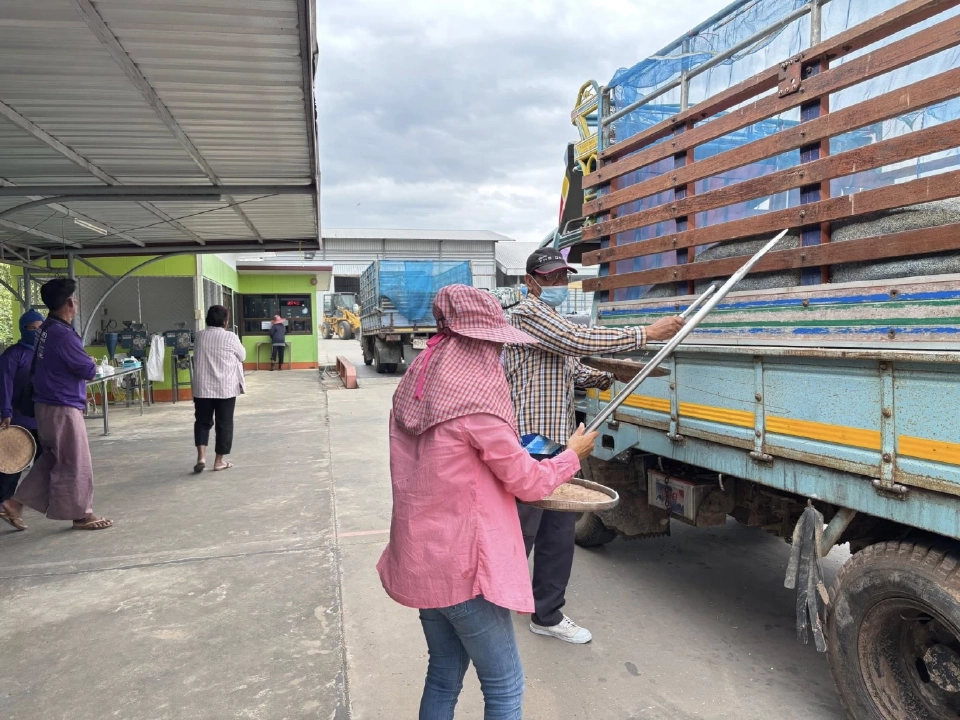 ตลาดข้าวคึกคัก! ‘คนละครึ่งพลัส’ ดันยอดข้าวถุง ทำราคา ข้าวเปลือกทั่วประเทศ พุ่ง