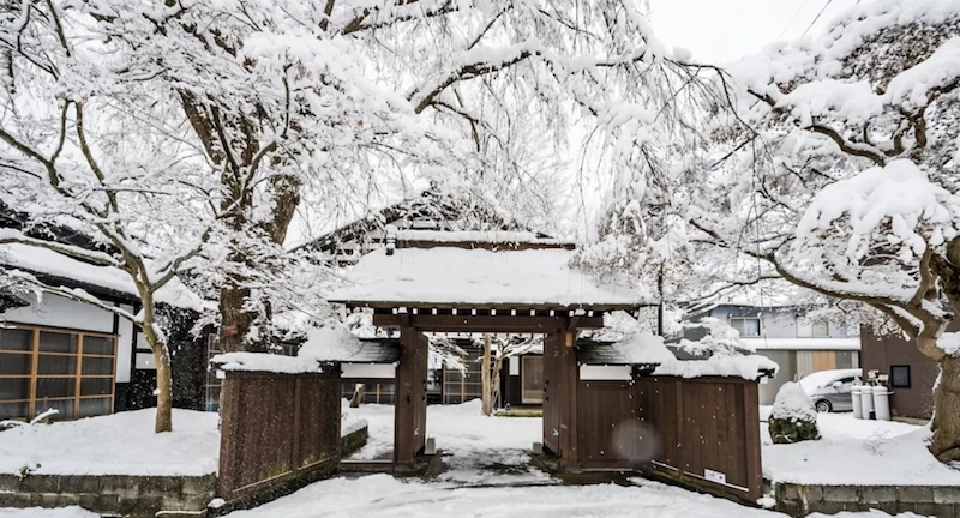 ญี่ปุ่น เตือนนักท่องเที่ยว ระวังหมี หลังถูกทำร้ายเสียชีวิตสูงเป็นประวัติการณ์