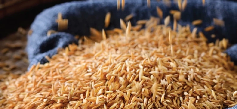 ‘วัลลภ มานะธัญญา’ คงปรัชญาเดิมเติม AI-นวัตกรรมใหม่รุกตลาดข้าว