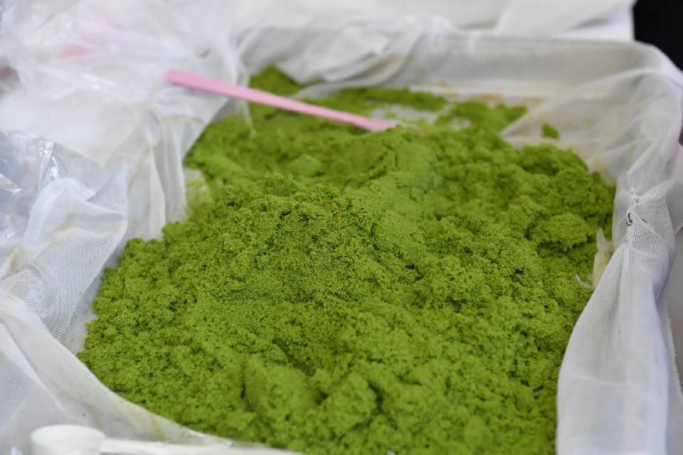 มกอช. จับมือญี่ปุ่น ลุยฉลากลดคาร์บอน ดัน “ไข่ผำ” บุกตลาดโตเกียว