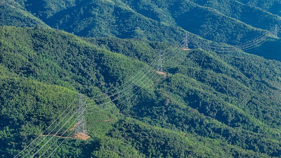 CKP เปิดผลงาน 9 เดือน ปี 68 กำไรโตแกร่งกว่า 1.6 พันล้าน รับอานิสงส์จากปัจจัยฤดูกาล