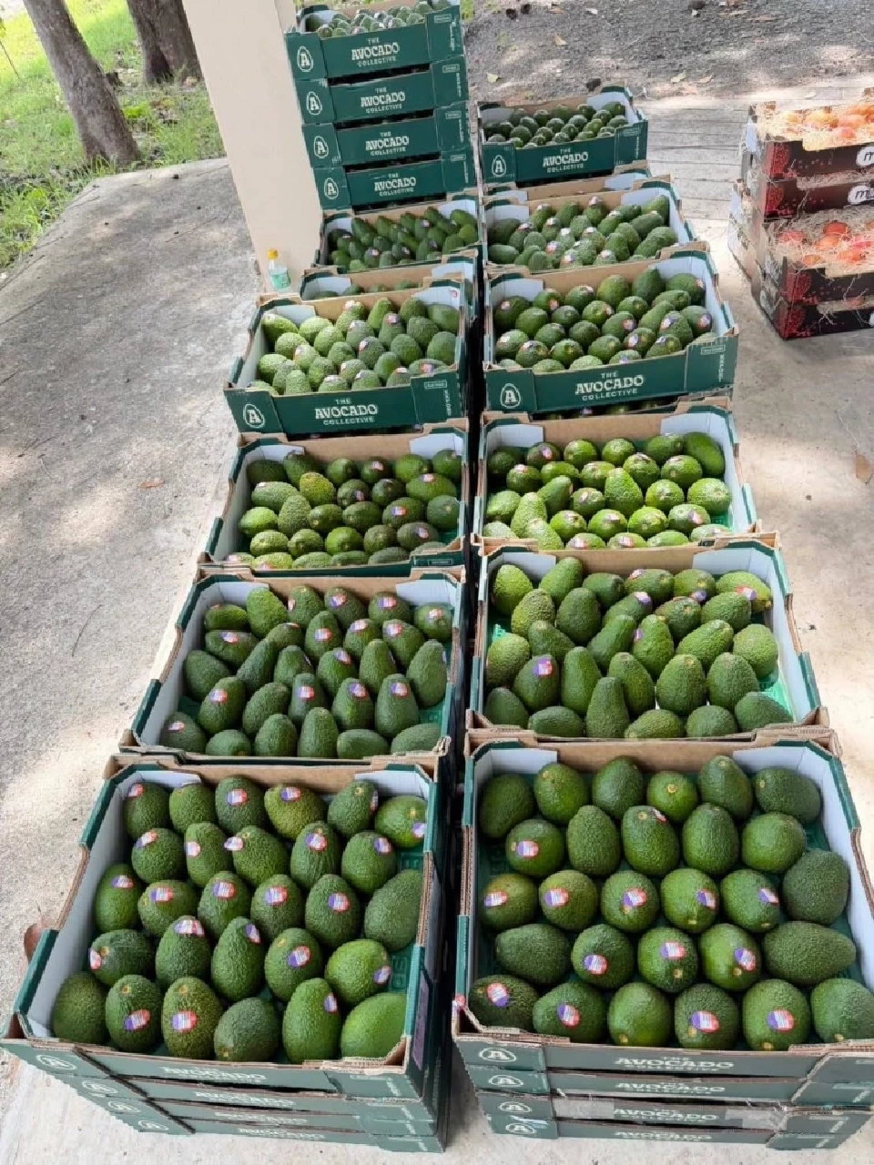 บุกยึดผลไม้เถื่อนกลางเพชรบุรี กว่า 1.2 หมื่นกิโลฯ  มูลค่าร่วม 3 ล้านบาท