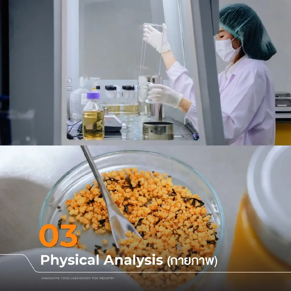 INFLI ม.เชียงใหม่ คว้ามาตรฐาน ISO ยืนยันคุณภาพแล็บระดับโลก