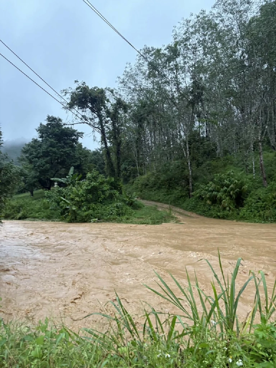 น้ำท่วมชุมพรล่าสุด 19 พ.ย.68