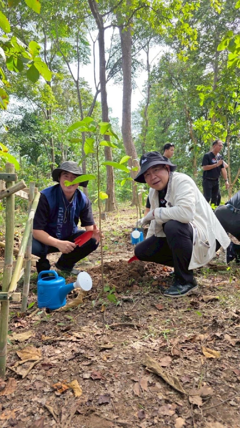 GPSC-มูลนิธิแม่ฟ้าหลวง ร่วมฟื้นฟูป่าชุมชนกักเก็บคาร์บอน ต้นแบบสู่ Net Zero