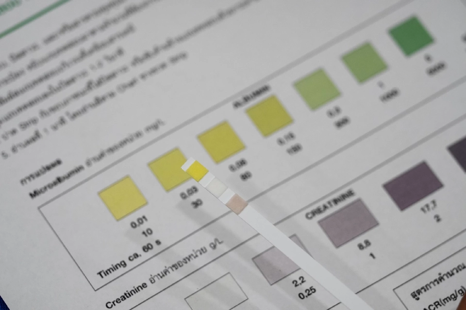 เบอริงเกอร์ อินเกลไฮม์ หนุนโครงการคัดกรองโรคไต สู่คนไทย 7.2 ล้านคน