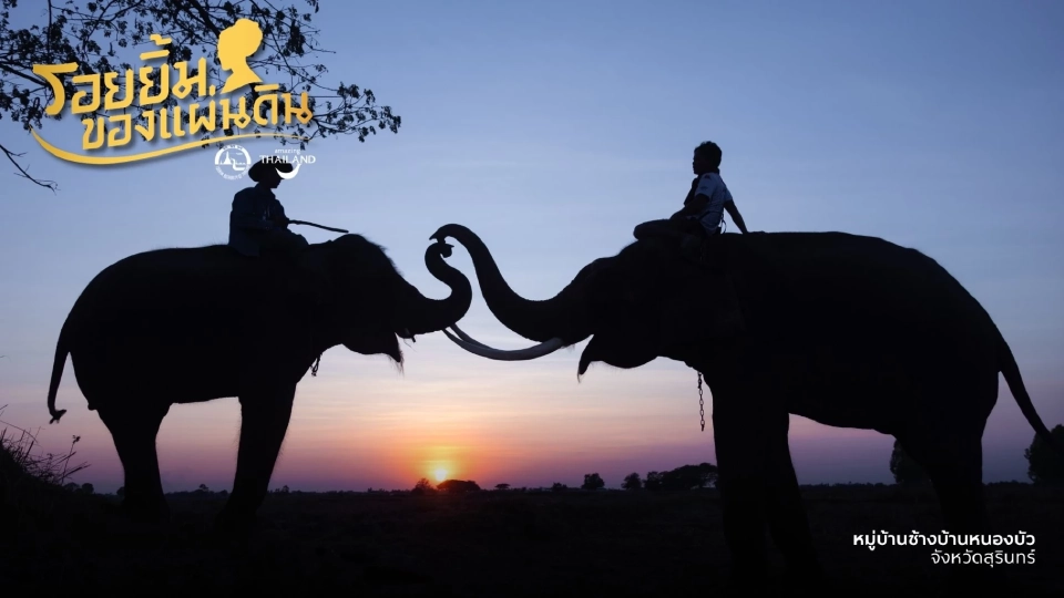 ททท.ชูแคมเปญ ‘รอยยิ้มของแผ่นดิน’ ชวนคนไทยเที่ยวตามรอยพระราชดำริ สมเด็จพระพันปีหลวง