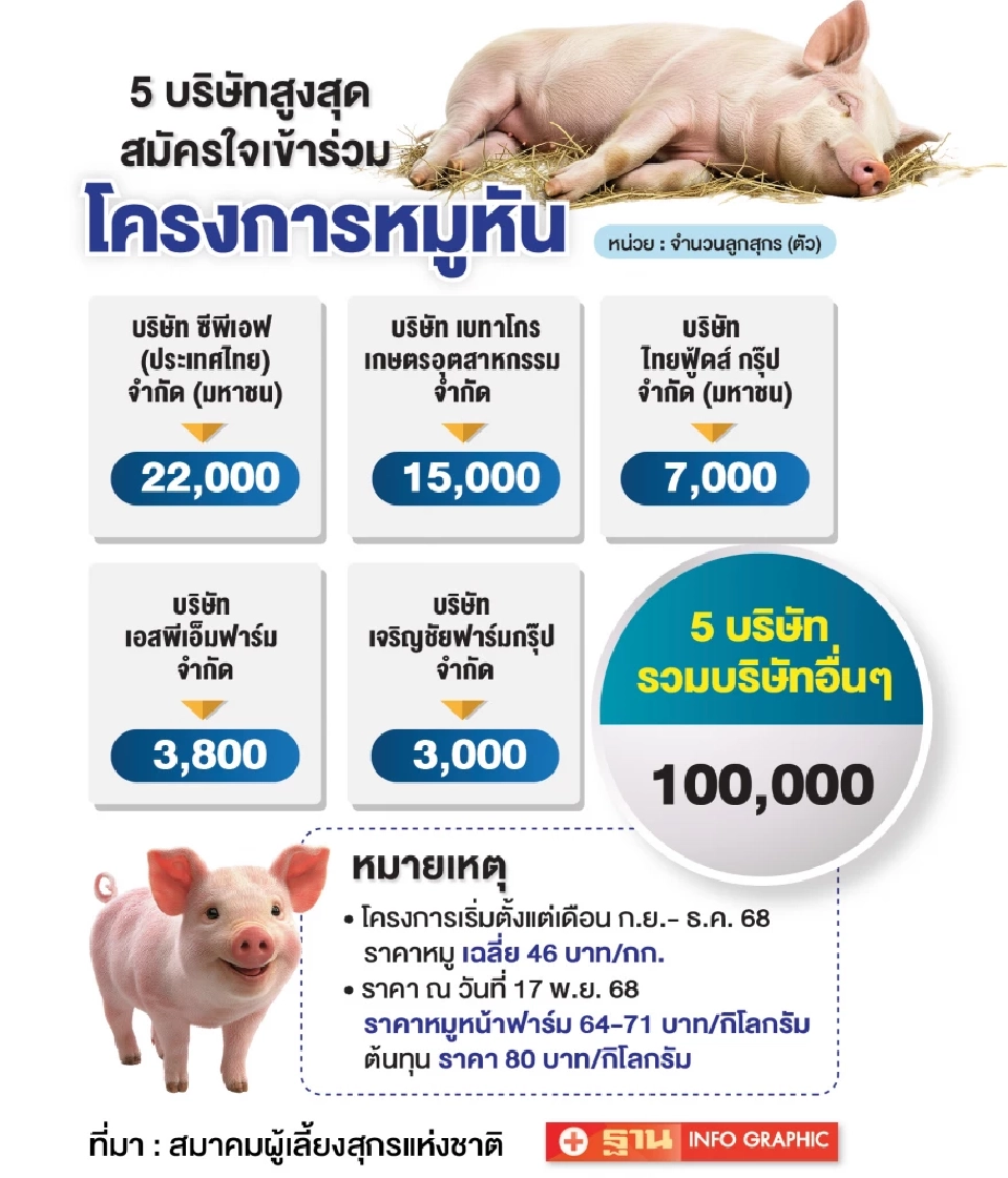 หมูหน้าฟาร์มพุ่ง!  2 บาทต่อสัปดาห์  12 บริษัทฮีโร่ ‘หมูหัน’ 1 แสนตัว ช่วยเกษตรกร