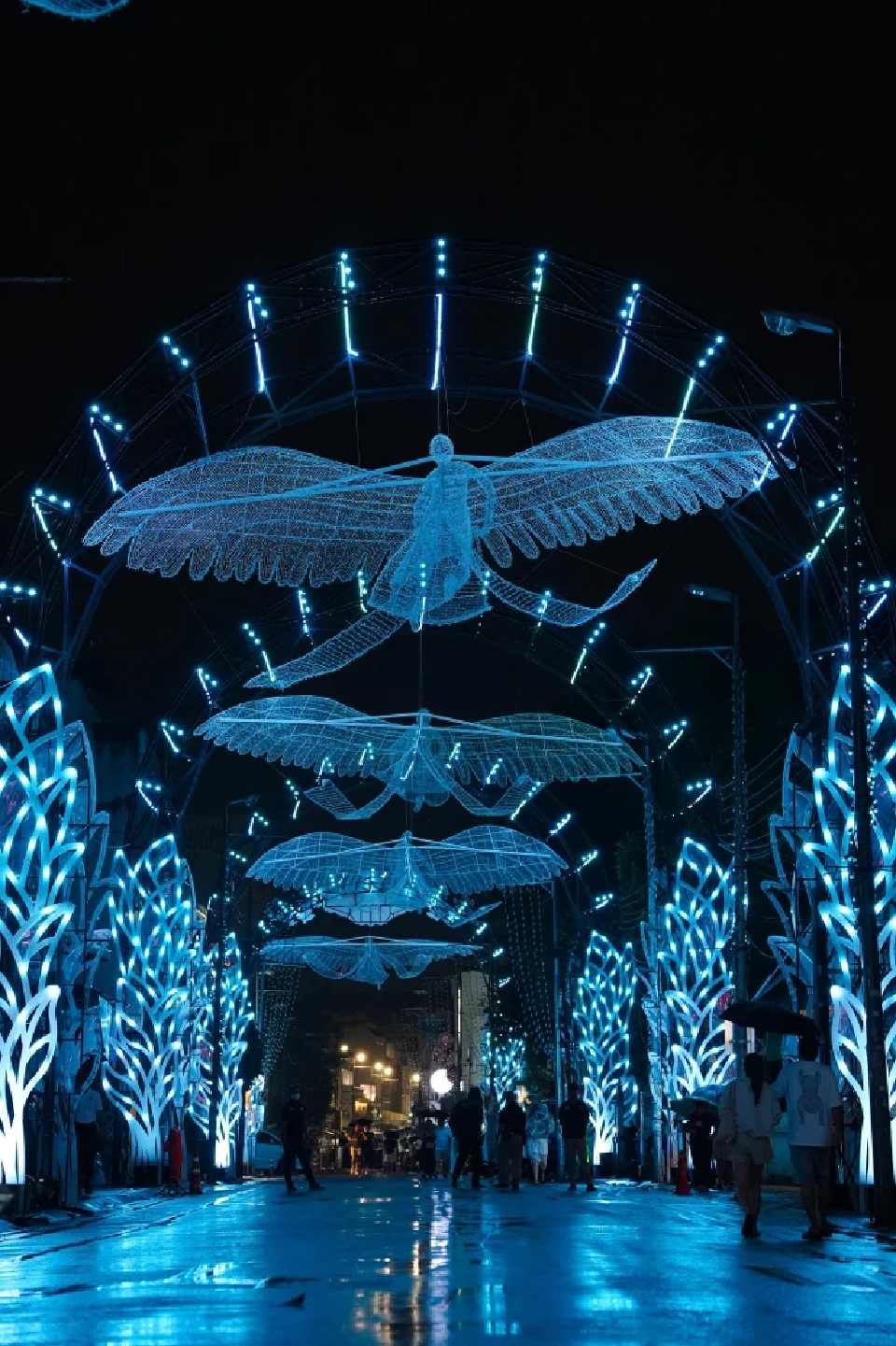 สัมผัสซุ้มประดับไฟ “ทิพยรัศมีเวียงพิงค์ สู่ดินแดนวิจิตรแห่งล้านนา” บนถนนท่าแพ