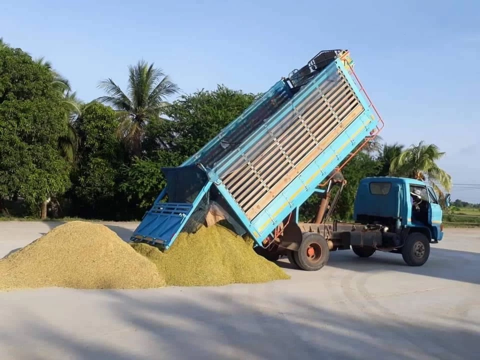 TDRI เตือน “ดูดซับข้าว 3 ล้านตัน” ฉุดส่งออก เปิดช่องทุจริต-ซ้ำรอยจำนำ