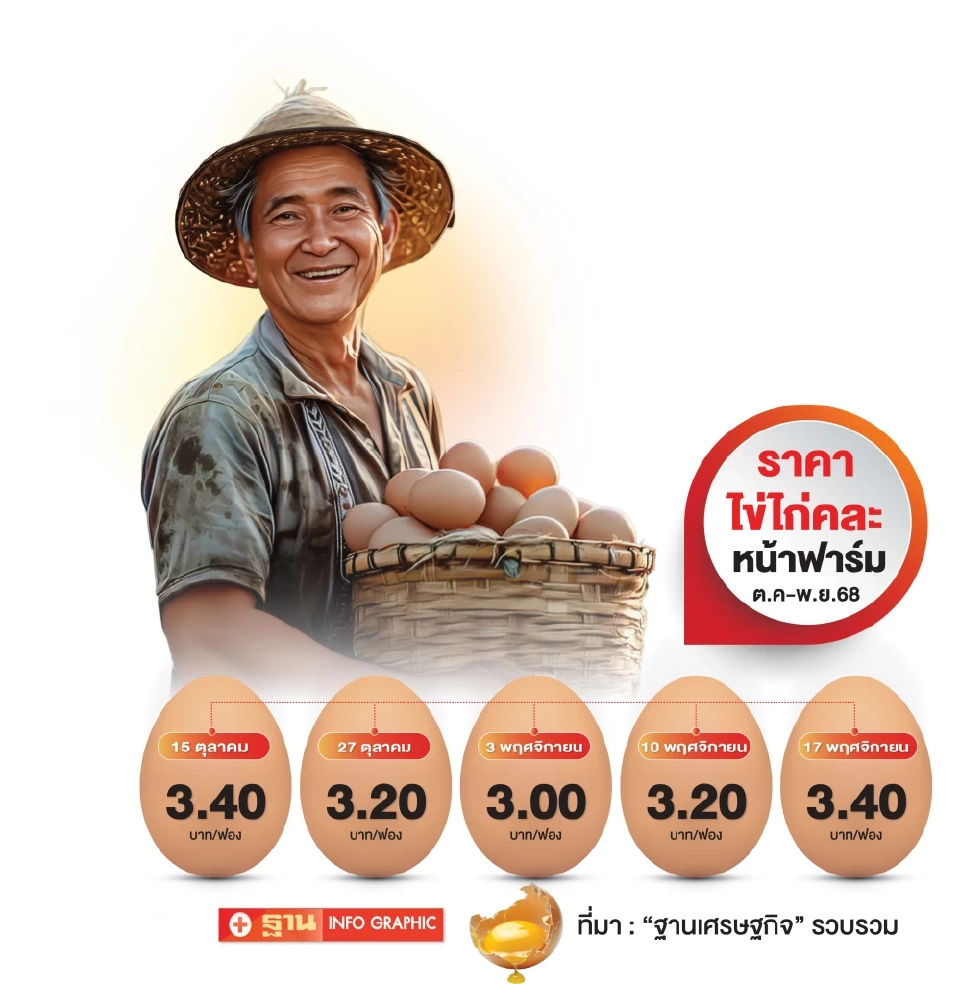 ราคาไข่ไก่ฟื้น ลุยส่งออก 60 ล้านฟอง  โวยโมเดิร์นเทรด ดัมพ์ราคา