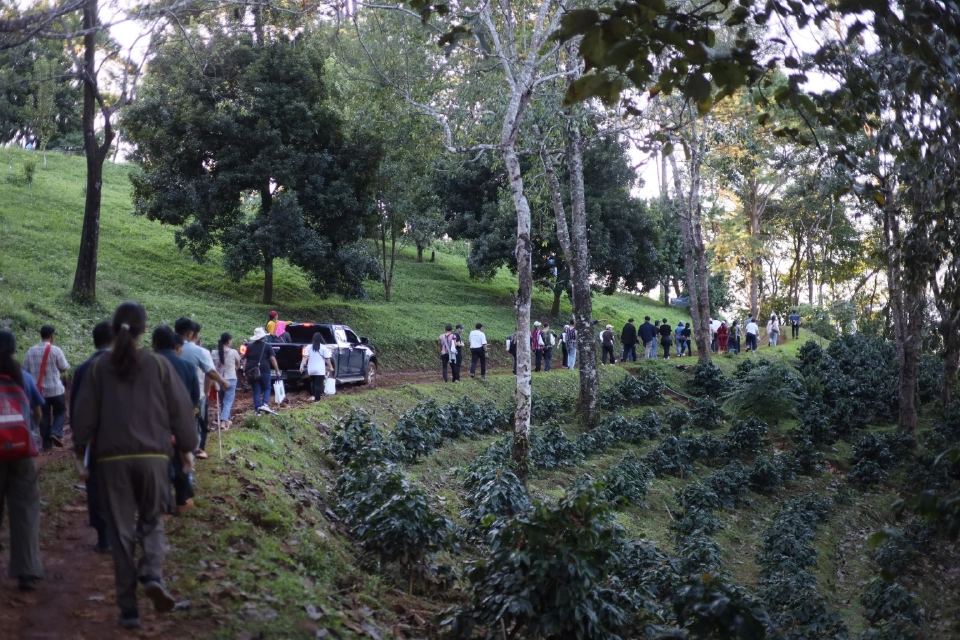 ‘กัลฟ์’ ยกระดับชุมชนพื้นที่สูง นำชาวดอยเรียนรู้กาแฟครบวงจรที่ดอยตุง สร้างอาชีพยั่งยืน