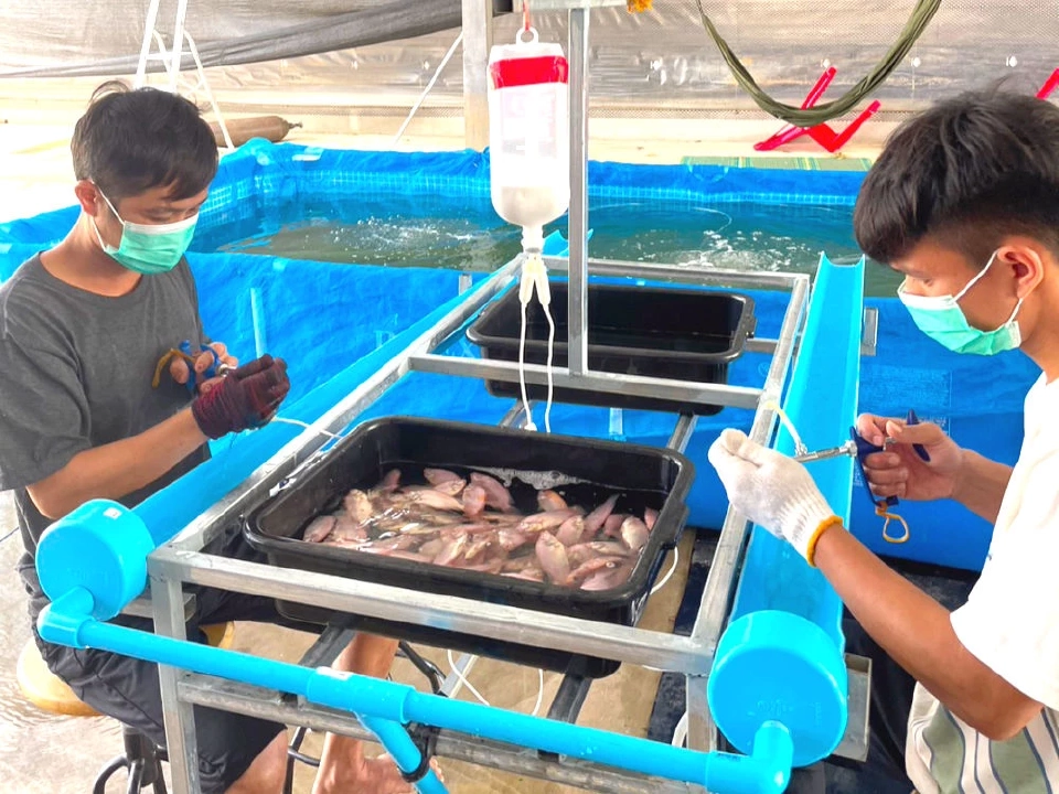 เกษตรกรรม 4.0 ไทยเริ่มแล้ว ! กรมทรัพย์สินทางปัญญา- WIPO หนุน SMEs ขยายตลาดโลก