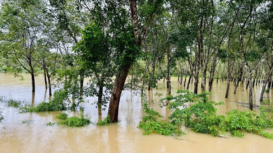 อ่วม น้ำท่วมหาดใหญ่ ไฟฟ้า-ระบบสื่อสารขัดข้อง งดประกาศซื้อ-ขายยาง ชั่วคราว