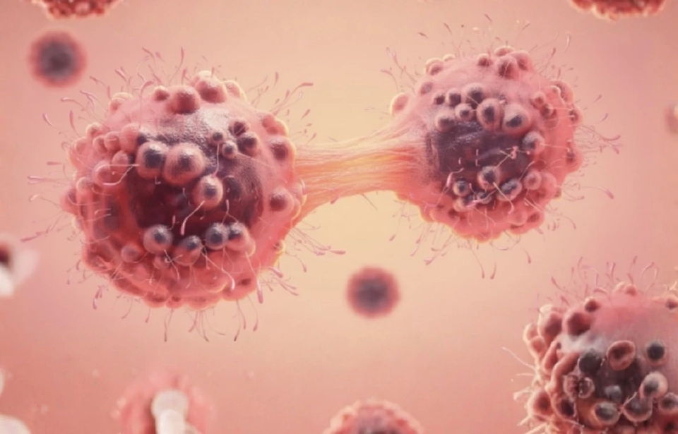 เปิดมุมมองแพทย์แผนจีน เสริมแกร่ง “ผู้ป่วยมะเร็ง” ด้วยการปรับ 3 สมดุล