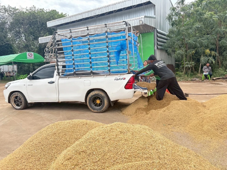 ตลาดข้าวคึกคัก ข้าวหอมมะลิราคาแตะ 16,100 บาท/ตัน รับมาตรการรัฐ