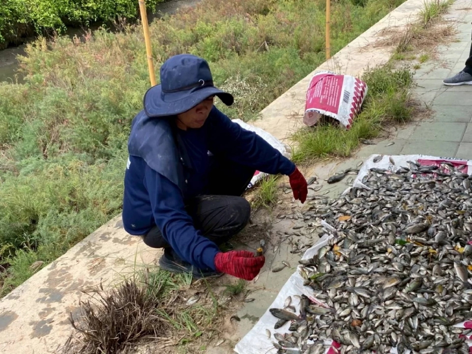 บทเรียนราคาแพงจากภัยร้าย "เอเลียนสปีชีส์" ที่ต้องรู้ความจริง