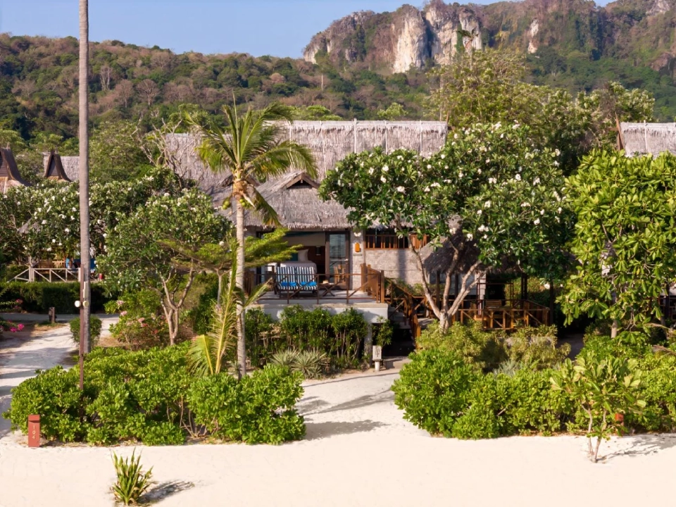 ติดเกาะสุดชิลล์ SAii Phi Phi Island Village ธรรมชาติ ‘เกาะพีพี’ฮีลใจ