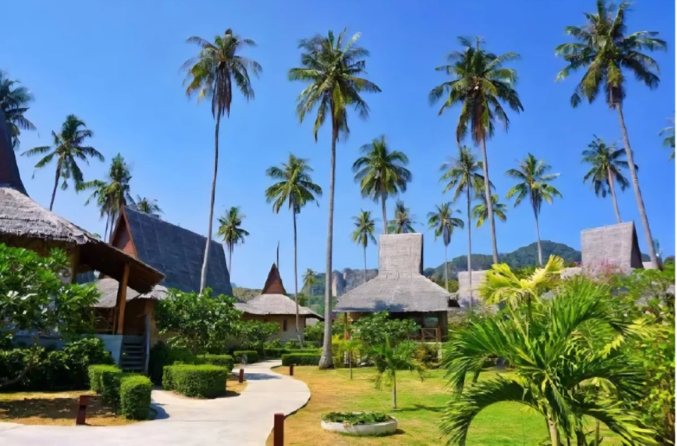 ติดเกาะสุดชิลล์ SAii Phi Phi Island Village ธรรมชาติ ‘เกาะพีพี’ฮีลใจ