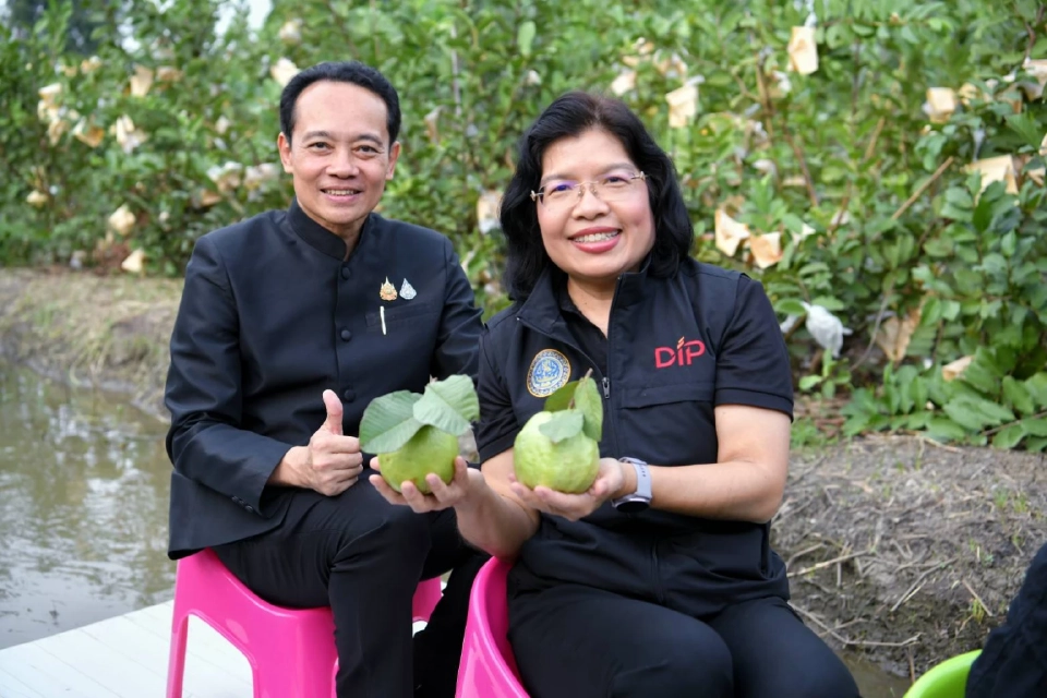 'ฝรั่งสามพราน' สินค้า GI ราคาพุ่งกว่า 2 เท่า สร้างรายได้ 350 ล้าน/ปี